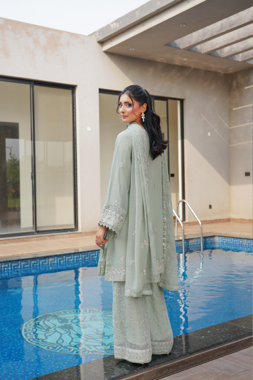 Agha Noor Shein Chiffon Ready to Wear Collection 2026 | Light Green