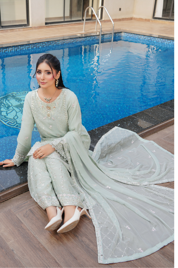 Agha Noor Shein Chiffon Ready to Wear Collection 2026 | Light Green