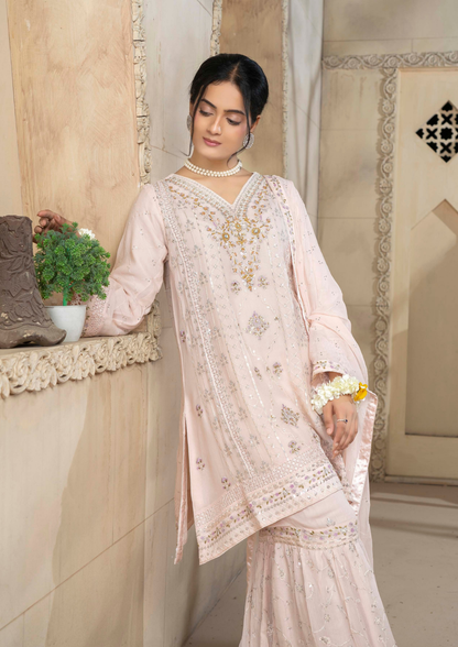 Agha Noor Chiffon Gharara Roshni Ready to Wear Collection 2025 D10 | Light Pink