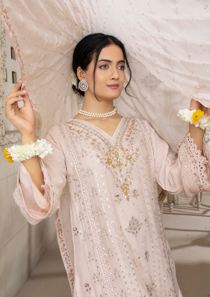 Agha Noor Chiffon Gharara Roshni Ready to Wear Collection 2025 D10 | Light Pink