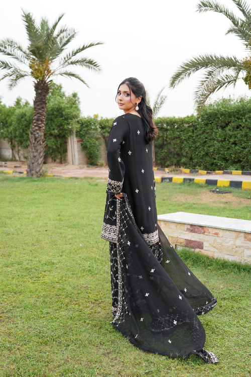Agha Noor Shein Chiffon Ready to Wear Collection 2026 | Black