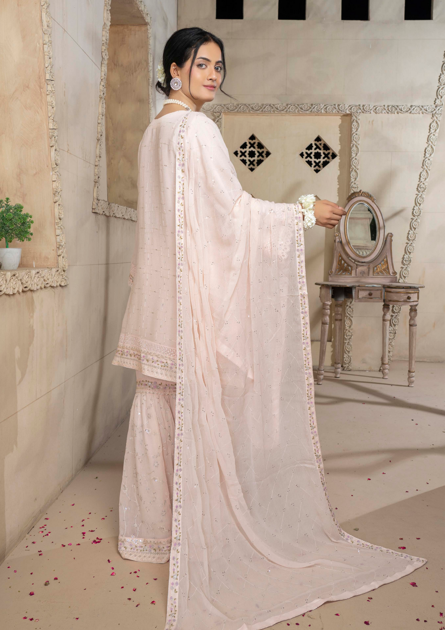 Agha Noor Chiffon Gharara Roshni Ready to Wear Collection 2025 D10 | Light Pink