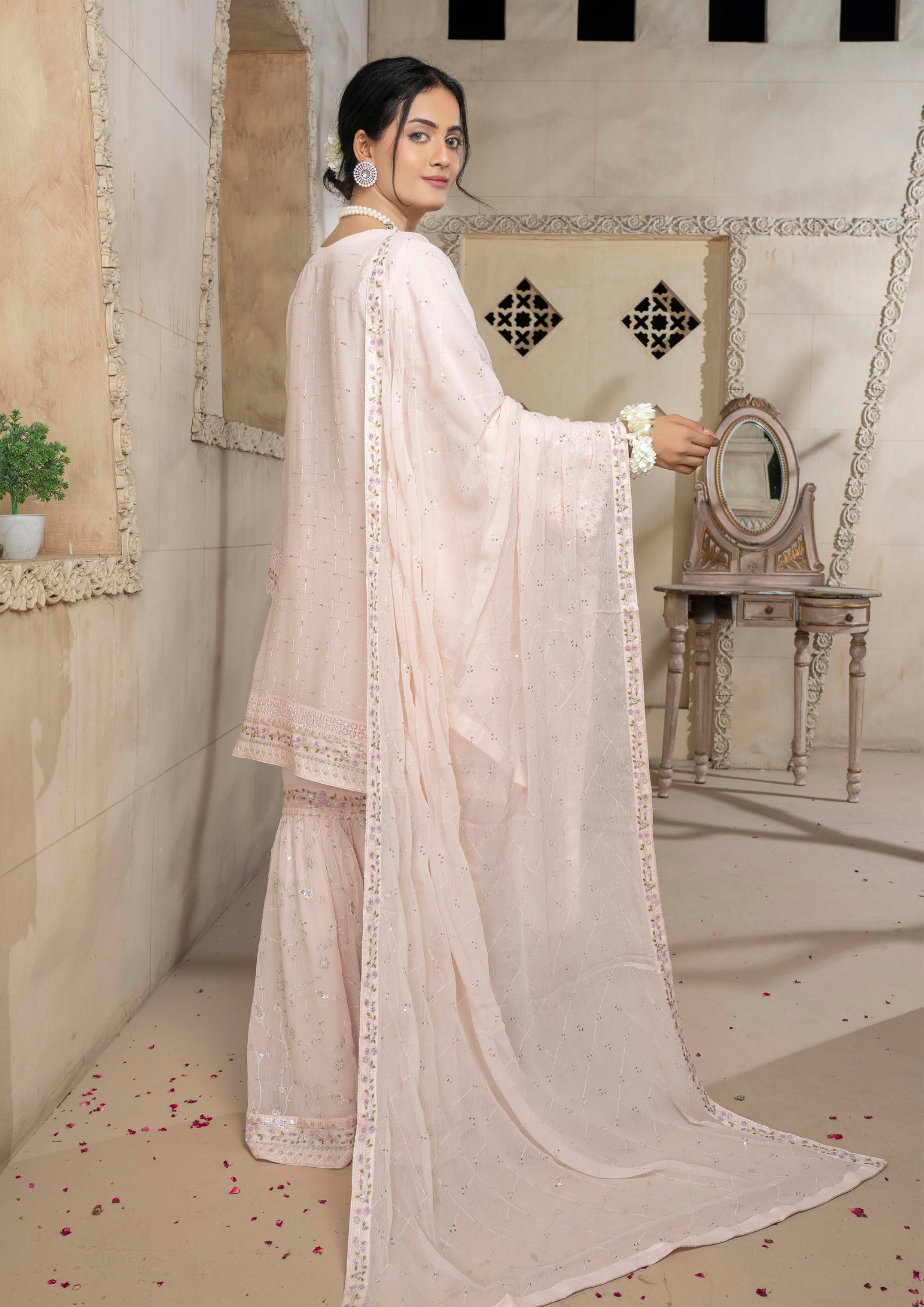 Agha Noor Chiffon Gharara Roshni Ready to Wear Collection 2025 D10 | Light Pink