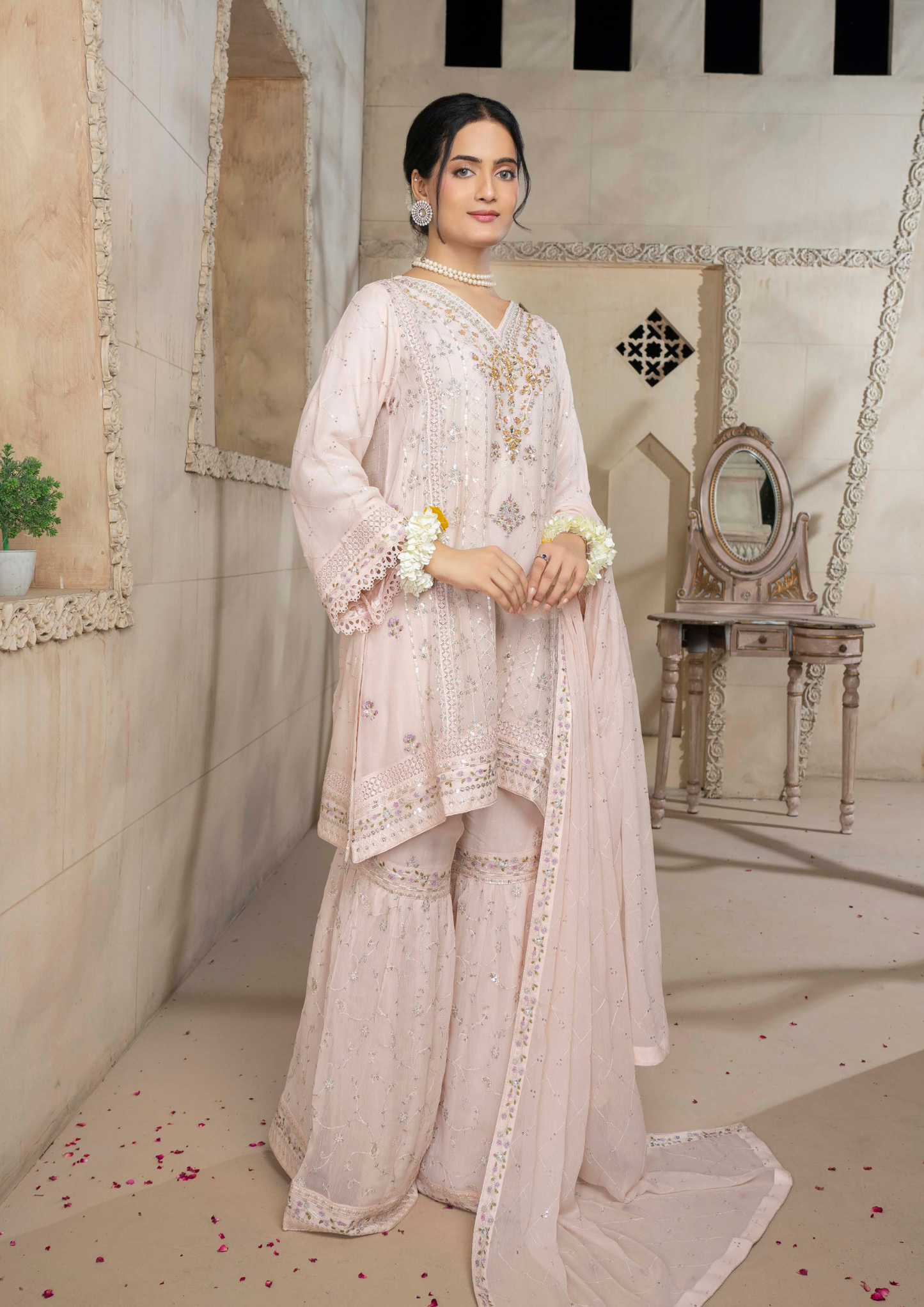 Agha Noor Chiffon Gharara Roshni Ready to Wear Collection 2025 D10 | Light Pink