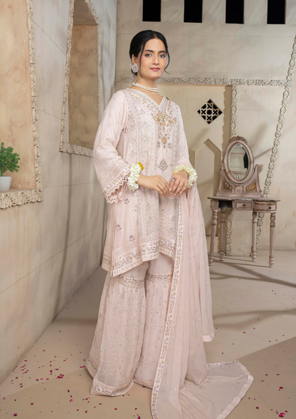 Agha Noor Chiffon Gharara Roshni Ready to Wear Collection 2025 D10 | Light Pink