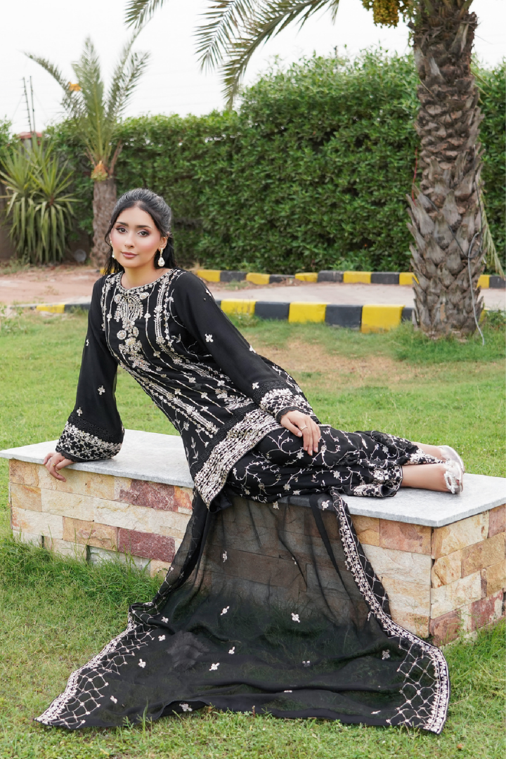 Agha Noor Shein Chiffon Ready to Wear Collection 2026 | Black