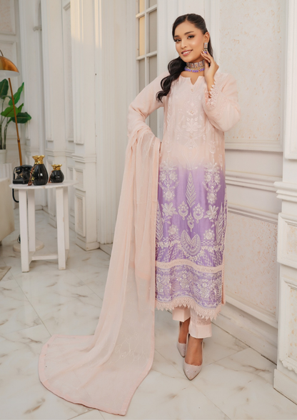Agha Noor Silk Ready to Wear Collection Nov-2025 | Tea Pink