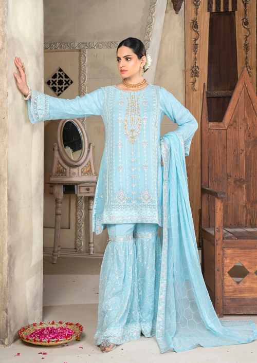 Agha Noor Chiffon Gharara Roshni Ready to Wear Collection 2025 D03 | Sky Blue - Mirha Fashion