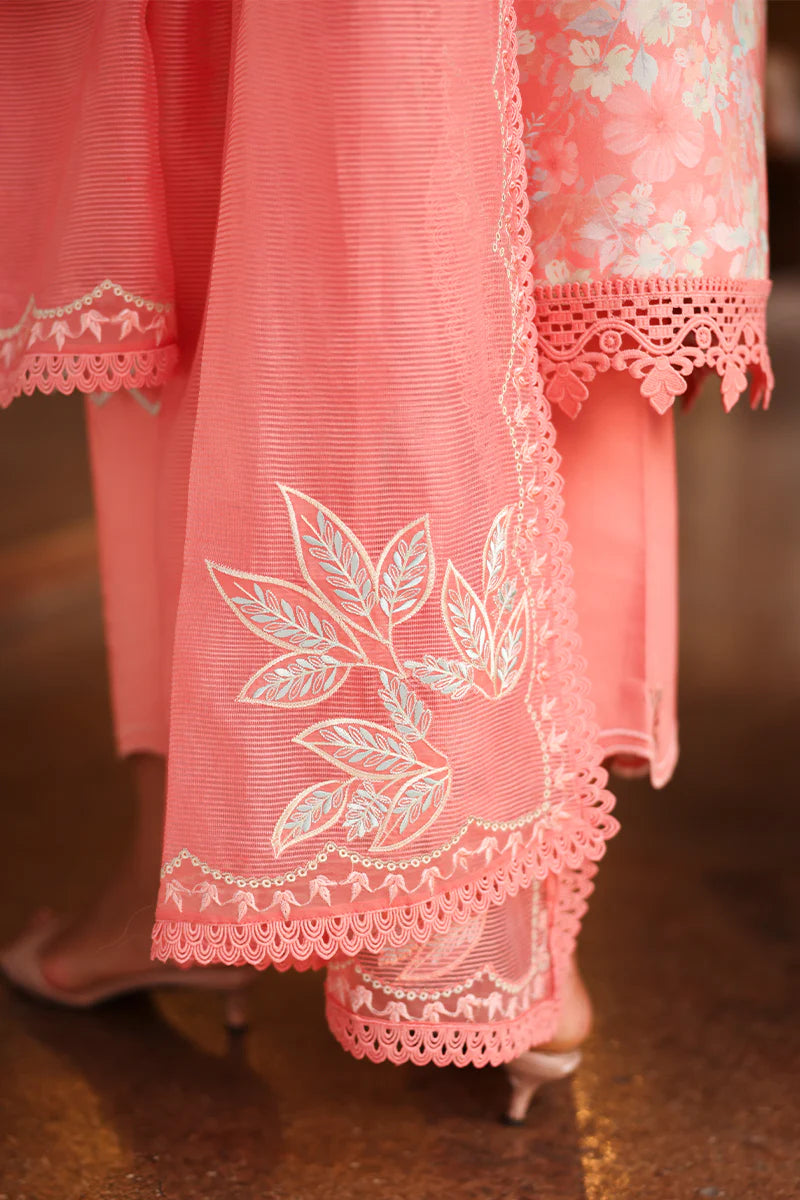 Rang Rasiya Florence Summer Unstitched Collection 2026 | SAFINA - Mirha Fashion