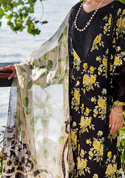 Elaf Signature Embroidered Lawn Collection  2024 | Eclipsed Dream | 6A