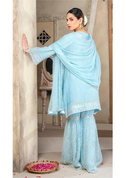 Agha Noor Chiffon Gharara Roshni Ready to Wear Collection 2025 D03 | Sky Blue
