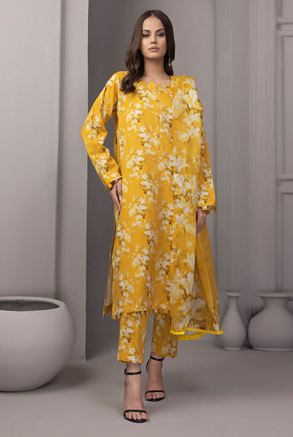 Adentic Separate Cotton By Regalia Volume 7 | 09