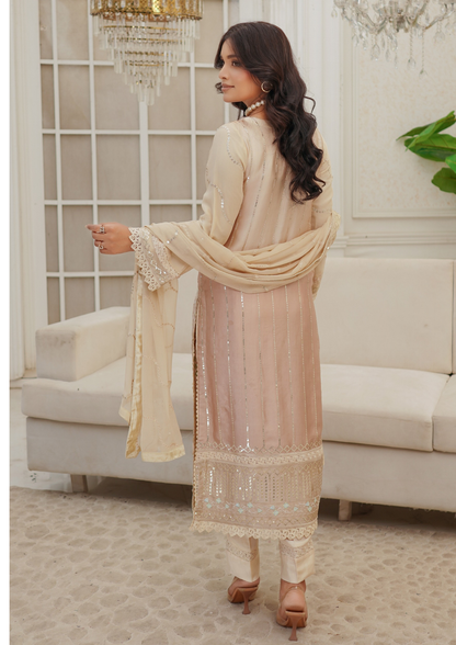 Agha Noor Silk Ready to Wear Collection Nov-2025 | Fawn