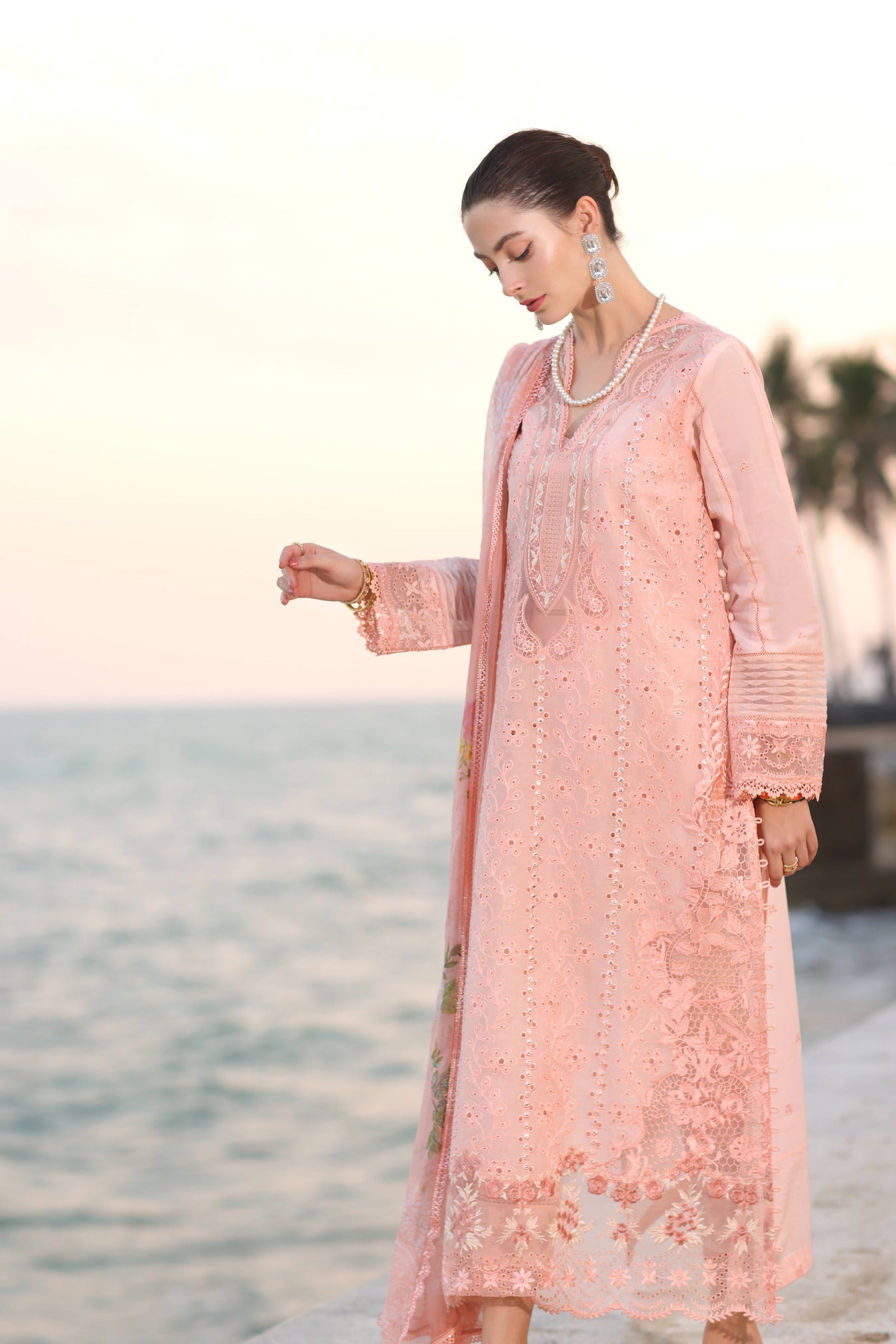 Noor By Sadia Asad Eid Laserkari Unstitched Collection 2025| D3-B