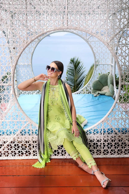 Noor by Saadia Asad Luxe Printkari Lawn 2024 | D8-B - Mirha Fashion
