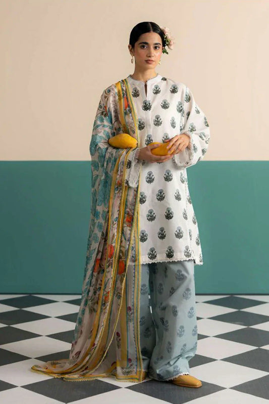 COCO by Zara Shahjahan Prints V3 | ZOFI-4B