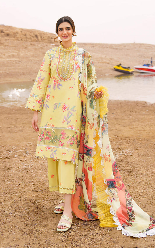 Asifa Nabeel Meraki Summer Collection 2024 | Orchid - Mirha Fashion